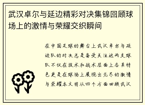 武汉卓尔与延边精彩对决集锦回顾球场上的激情与荣耀交织瞬间